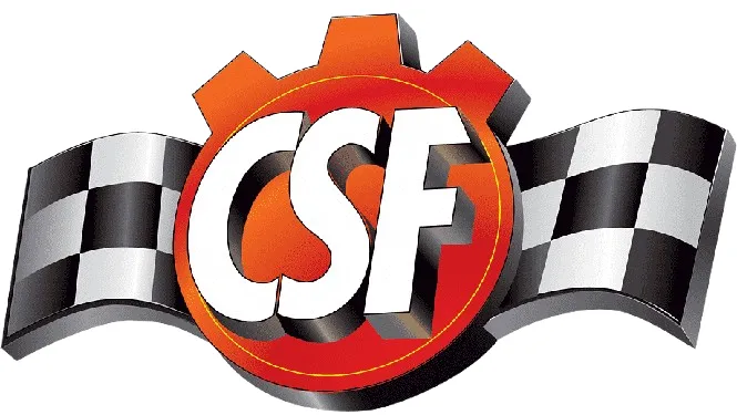 CSF